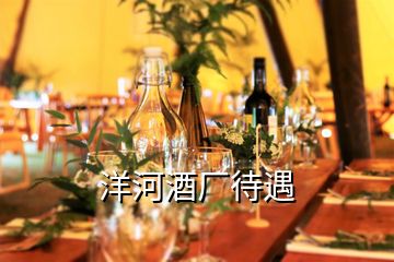 洋河酒廠待遇