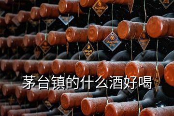 茅臺鎮(zhèn)的什么酒好喝