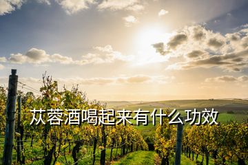 蓯蓉酒喝起來(lái)有什么功效