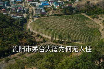 貴陽市茅臺大廈為何無人住