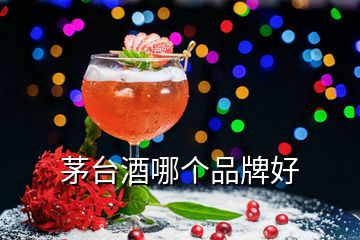 茅臺(tái)酒哪個(gè)品牌好