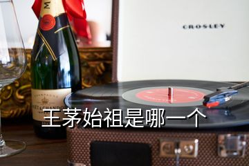 王茅始祖是哪一個(gè)