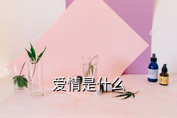 愛情是什么