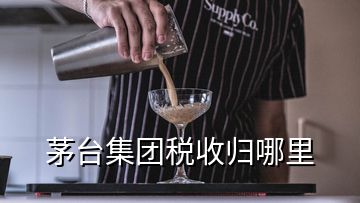 茅臺(tái)集團(tuán)稅收歸哪里