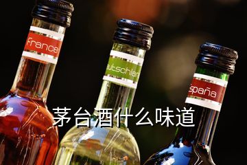 茅臺酒什么味道