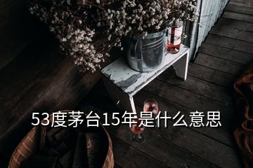 53度茅臺(tái)15年是什么意思