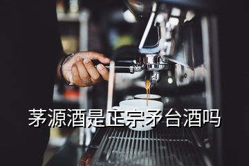 茅源酒是正宗矛臺(tái)酒嗎