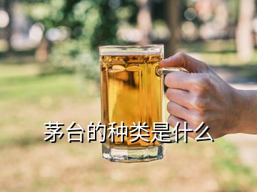 茅臺的種類是什么