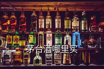 茅臺(tái)酒哪里買(mǎi)