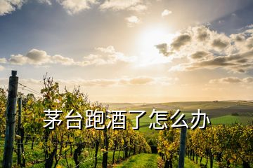 茅臺跑酒了怎么辦