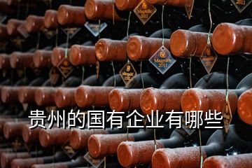 貴州的國(guó)有企業(yè)有哪些