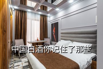 中國白酒你記住了那些