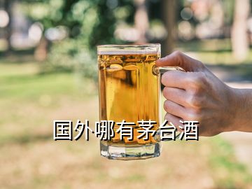 國外哪有茅臺酒