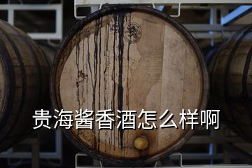 貴海醬香酒怎么樣啊