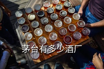 茅臺(tái)有多少酒廠