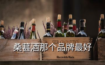 桑葚酒那個(gè)品牌最好