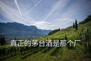真正的茅臺酒是那個(gè)廠