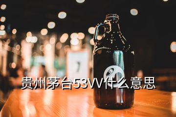 貴州茅臺53VV什么意思