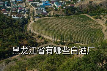 黑龍江省有哪些白酒廠