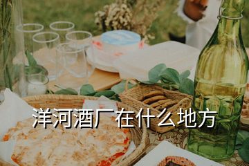 洋河酒廠在什么地方