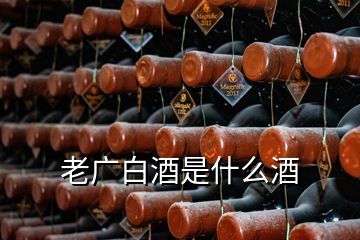 老廣白酒是什么酒