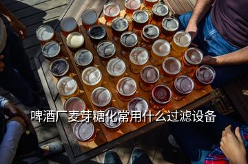 啤酒廠麥芽糖化常用什么過濾設(shè)備