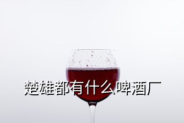 楚雄都有什么啤酒廠