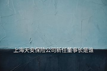 上海天安保險公司新任董亊長是誰