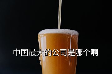 中國(guó)最大的公司是哪個(gè)啊