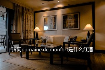 請問domaine de monfort是什么紅酒