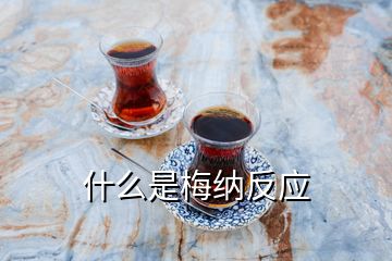 什么是梅納反應(yīng)