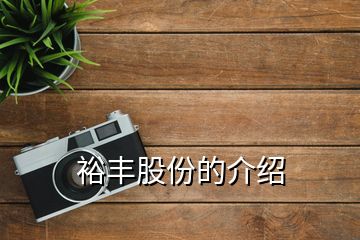 裕豐股份的介紹