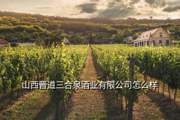 山西晉道三合泉酒業(yè)有限公司怎么樣