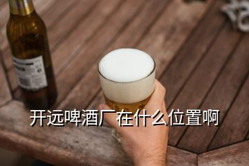 開遠(yuǎn)啤酒廠在什么位置啊