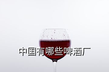 中國(guó)有哪些啤酒廠