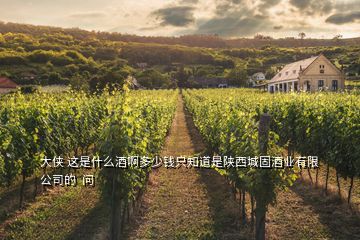 大俠 這是什么酒啊多少錢只知道是陜西城固酒業(yè)有限公司的  問