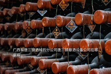 廣西有唐三鏡酒械的分公司唐三鏡釀酒設(shè)備公司在哪里啊