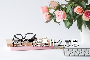 存長(zhǎng)氣浩是什么意思