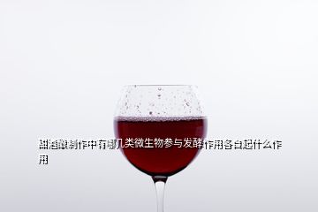 甜酒釀制作中有哪幾類微生物參與發(fā)酵作用各自起什么作用