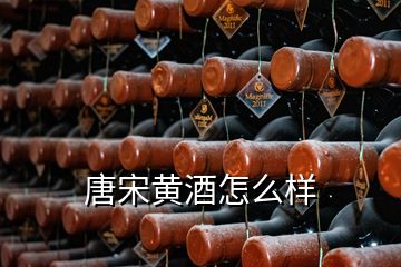 唐宋黃酒怎么樣