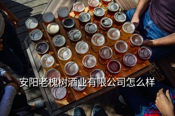 安陽(yáng)老槐樹(shù)酒業(yè)有限公司怎么樣