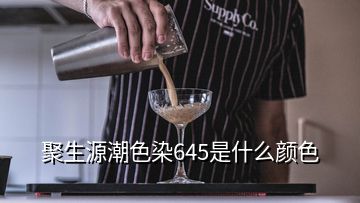 聚生源潮色染645是什么顏色