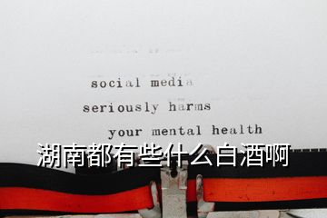 湖南都有些什么白酒啊