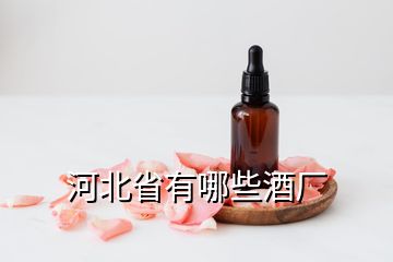 河北省有哪些酒廠