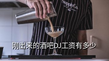 剛出來的酒吧DJ工資有多少