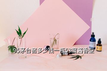 95茅臺(tái)窖多少錢一瓶53度醬香型