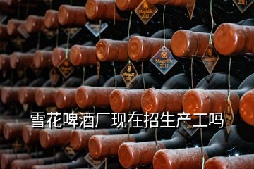 雪花啤酒廠現(xiàn)在招生產工嗎