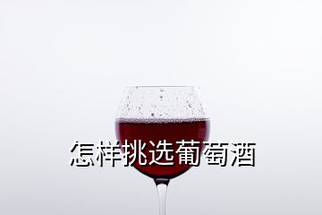 怎樣挑選葡萄酒