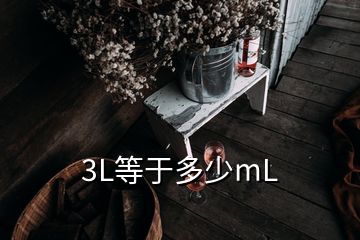 3L等于多少mL