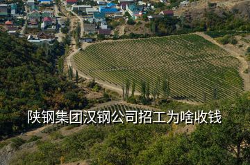 陜鋼集團漢鋼公司招工為啥收錢